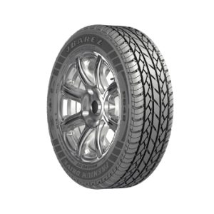 (P648) PREMIUM DRIVE BAREZ بارز P648 لاستیک پژو206